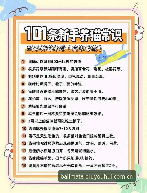 2026球友会充值流程 2026球友会充值流程实用指南:新手也能轻松完成的操作手册