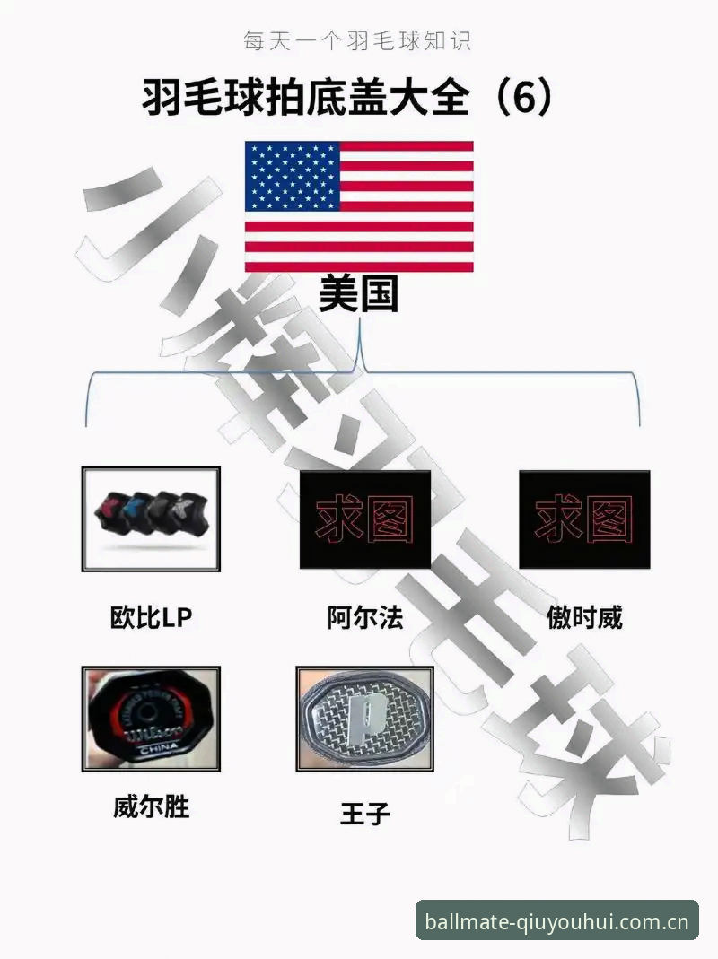 球友会安卓APP 球友会安卓APP 3.1版本实测:5个关键优化点与登录故障排查指南